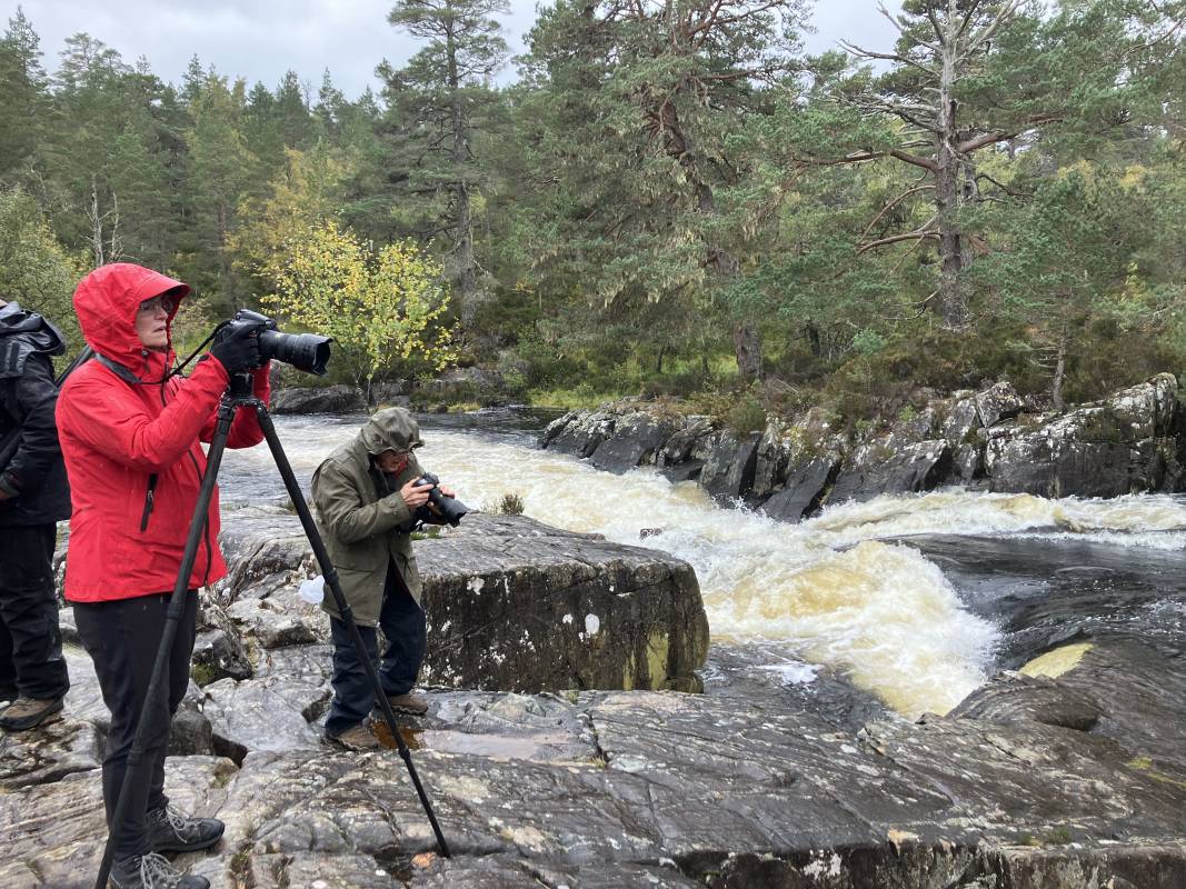 Glen Affric Winter Wildlife and Rewilding Walk